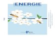 Das Kundenmagazin der EVI Energieversorgung Hildesheim · Meinecke. Die Bienen haben fleißig gesammelt. „Un-sere kleinen Mitarbeiter finden ganz viel zu futtern“, freut sich
