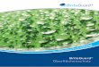 BriteGuard booklet:Layout 1 - GlasKlar GmbH...Kern des Systems sind die beiden Beschichtungsprodukte BriteGuard® Surface Sealer für glatte Oberflächen und BriteGuard ® Surface