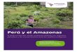 Perú y el Amazonas - adveniat.de · indígenas atribuyeron el derrame a la falta de manteni-miento del Oleoducto4 Norperuano, desencadenando dos accidentes que han contaminado5 al