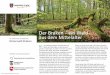 Der Braken – ein Wald aus dem Mittelalter - Harsefeld · 2015-06-23 · gesichert und die Landesforsten sorgen für eine professio-nelle Pflege und nachhaltige ökologische Waldentwicklung