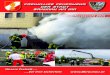 Jahresbericht 2015 - Freiwillige Feuerwehr Braunau am Innffbraunau.at/.../uploads/2016/02/Jahresbericht-Internet.pdf · 2016-03-31 · Jahresbericht 2015 – 1 Sehr geehrte Leserinnen,