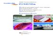 Risikomanagement von neuen Schadstoffen und ...riskwa.de/RiSKWa+Praxishandbuch/_/RISKWA_Praxishandbuch.pdf · 4.4 Anwendung der Technologien zur Emissionsminderung bei der Abwasserreinigung