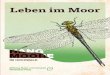 Leben im Moor...Seite 27 1 4 5 Ohne Wasser kein Moor Moore sind seltene Ökosysteme und als Rückzugsgebiet für besondere Tier- und Pﬂ anzenarten von großer Bedeutung. Die im Hunsrück