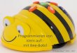 Programmieren mit Bee-Bot · 2018-12-06 · Mit den Bee-Bots lernen die Kinder genau diesen Ablauf in einer sehr einfachen Form kennen. Das Problem ist zum Beispiel, dass die Biene