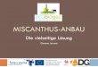 MISCANTHUS-ANBAUagraost.be/doc/140613_Presentation-Chaudieres-miscanthus... · 2017-04-13 · Miscanthus als Biogas-Substrat Versuch: Ernte im Herbst (wie Mais) Vielversprechende