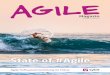 State of #Agile - Andreas Kuhl · tion. Die wurde ja im Agile Manifesto etwas gebashed – working software over compre-hensive documentation. Ein gern genutzter Satz, um Anforderungen