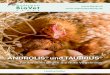 ANDROLIS und TAURRUS - BioVet · ANDROLIS® und TAURRUS® sind natürliche Feinde der Roten Vogelmilbe ... • Raubmilben ertragen keine nassen Bereiche oder Staunässe im Stall