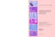 Pathogenetische Untersuchungen zum Wasting Marmoset ... · MBD metabolic bone disease (metabolische Knochenkrankheit) MCH mean corpuscular hemoglobin (mittlere Hämoglobingehalt des