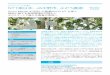 NTT 東日本、JA 中野市、ぶどう農家 - シスコ IoT ソリューショ … · 栽培に関する栽培環境を可視化し ... その栽培をiotで 支援することで、新しい形の農業をご支援できると考えたのです」。