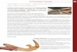 Arbeiten mit Holz – Werkstücke für den Technikunterricht · 4 Anleitungen 97 „Das schwarze Loch“ Benötigte Materialien: 2 Platten 15 mm Birkensperrholz, 150 x 150 mm;1 Leiste