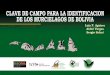 Murciélagos - Standfirst Cloud · 2018-01-26 · Título original: Clave de campo para la identificación de los murciélagos de Bolivia. Cita bibliográfica: Aguirre, L.F.,A. Vargas