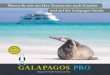 Planen Sie mit uns Ihre Traumreise nach Ecuador und auf die Galapagos …€¦ · Galapagos Albatros Blaufußtölpel Nazca Tölpel Rotfußtölpel Flugunfähiger Kormoran Amerikanischer