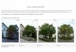Bäume in Hallstadt (2008-2018) - Kompetenzinitiative...Bäume in Hallstadt (2008-2018) Der Zustand von Bäumen in Hallstadt wurde zwischen Juni 2008 und März 2018 auf 29 Rundgängen