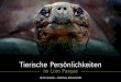 Tierische Persönlichkeiten - RTLbilder.rtl.de/download/vox/pdf/Loro_Parque_Bildband_Lese... · 2010-12-01 · Tierische Persönlichkeiten in Szene setzen, das Besondere im mimischen