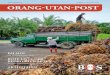 Ausgabe 3 | Dezember 2016 ORANG-UTAN … · liche Bilder berichtete Pak Jamartin über die Anstrengungen und Herausforderungen, die jede einzelne Auswilde-rung mit sich bringt (s