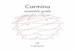 Carmina - decoronline.cz · Carmina assembly guide. DE Waschen Sie die Lampe vor Gebrauch mit Seife ab um Staubanziehung zu vermeiden. DK Vask med sæbe før brug for at undgå støvtiltrækning