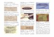 Warenkataloge/ Los 1253 Ausruf: 10 € Versandkuvert beiliegend. … · 2012-03-05 · Guide de l´automobile francaise ; von Jacques Rousseau, 1988) Gebunden mit dekorativem Hardcover-Einband
