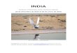 INDIA - Reservoir Birds · INDIA (RAJASTAN, UTTARAKHAND, ASSAM, ARUNACHAL PRADESH) 20 de diciembre de 2015 al 24 de enero de 2016 Black-bellied Tern (Sterna acuticauda) Participantes: