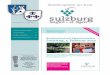 Mitteilungsblatt der Stadt - Sulzburg · letzten Jahr, wichtige zum Teil schon lang geplante Großprojekte der Stadtentwicklung erfolgreich abschließen bzw. auf den Weg brin-gen,