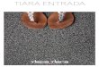 TIARA ENTRADA - Tisca Tiaraassets.productfinder.tiscatiara.com/.../TIARA_ENTRADA_WEB_D_01.… · TIARA ENTRADA TIARA ENTRADA 608 - Die Visitenkarte für den Eingang. Und mehr. Der