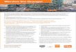 Werden Sie Orange! - BSR · 2018-11-05 · Beratung und Weiterentwicklung der Lösungen im Fuhrpark- und Immobilienmanagement (SAP PM, SAP RE-FX sowie Eigenentwicklungen, Tankmanagement,