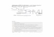 Soziale Ursachen und Lösungsansätze m² BMI · 2011-03-09 · ALS SYSTEMISCHES RISIKO Systematische EDV-gestützte Verkodung des Materials Systematische Analyse nach - den sozialen