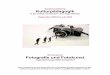 Schwerpunkt: Fotografie und Fotokunst in der …...Seite eines Fotocomics Verantwortliche und Qualifikation Oliver Spalt Jugendlichen • • • • Fotografie und Fotokunst • •