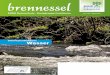 brennessel - Bund Naturschutz in Bayern...Gemeinsame Pressemitteilung der Bürgerinitiative Pro Wiesenttal und der BN Ortsgruppe Ebermannstadt: Die Bürgerinitiative BI Pro Wiesent-tal