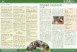 Terminvorschau SCHUBZ-InfoSchrift · 2014-08-12 · An Lernstationen auf dem Hof zei-gen wir, wie man das Thema kindge-recht vermitteln kann. Dabei wollen wir Tiere füttern, Kälber