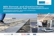 Mit Sonne auf Gewinnkurs: Photovoltaik für Unternehmen · 2018-07-11 · Top-qualitative Solarmodule gibt es für jede Anwendung Die aktuelle Preisentwicklung für Photovoltaiksysteme