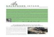Gal Intern So 13 - galapagos-ch.org · den haben nun mit einer Rastermethode begonnen, die Insel systematisch abzusuchen, um die Ziegen zu lokalisieren und sie letztendlich auch wieder