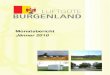 Monatsbericht Jأ¤nner 2010 - Burgenland Amt der Burgenlأ¤ndischen Landesregierung Monatsbericht Jأ¤nner
