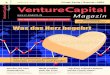 2 Februar 2010, Private Equity • Buyouts • M&A VentureCapital … · 2019. 5. 21. · 32 Investor im Portrait Frischer Wind in Wien Teil 102: First Love Capital Beteiligungs-Management