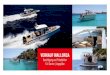 flyer - Boote Polch KG Traben-Trarbachnewsletter.bootepolch.de/_data/2016-11/mallorca.pdf · Title: flyer.indd Created Date: 7/25/2016 3:54:50 PM