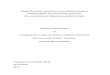 Inaugural-Dissertation zur Erlangung des Grades des Doctor …ormed.net/download/14-dissertation-birke.compressed.pdf · 2020. 8. 14. · Aufgrund der Erkenntnisse ihrer Funktion