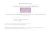 Nebennierenmark (NNM) · Nebennierenmark (NNM) ©2004 Prof. G. A. Spinas, Prof. Ph. U. Heitz Seite 5 von 17 Katecholamine Synthese der Katecholamine • das NNM produziert Katecholamine