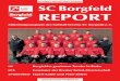 Nr. 1/2016 • Mär./Apr./Mai • kostenlos SC Borgfeld REPORT · 2016. 3. 30. · dung gemacht und ist mittlerweile seit 41 Jahren im Betrieb. Die Firma Expert Kohle besteht seit