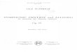 iSee PDF Creator · Ole Schmidt op. 20 26483 WILHELM HANSEN EDITION OLE NR. 4091 SCHMIDT SYMPHONIC FANTASY and ALLEGRO for Accordion and Chamber Orchestra op. 20 Accordion and Piano