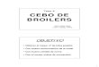 Tema 08. Cebo de Broilersocw.upm.es/pluginfile.php/451/mod_label/intro/Tema_08...Microsoft PowerPoint - Tema 08. Cebo de Broilers Author Antonio Callejo Ramo Created Date 3/24/2006