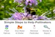 Simple Steps to Help Pollinators - Wisconsin Department of ... · Simple Steps to Help Pollinators Plant Natives Give Water & Shelter Minimize Pesticides Monitor & Report Jay Watson,