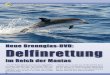 Neue Brennglas-DVD: Delfinrettung - Julia Brunke · 2020. 7. 27. · Es war unglaublich: Der Delfin hielt ungefähr drei bis vier Minuten still. »Er wollte, dass ihm geholfen wird