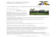 Obst- und Gartenbauverein Stuttgart-Rohracker e.V.ogv-rohracker.info/wp-content/uploads/2018VereinspostMai.pdf · Obst- und Gartenbauverein Stuttgart-Rohracker e.V. Liebe Mitglieder