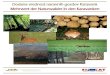 Naslov / Titel - Karavanke · 2012. 6. 15. · Karavanke@prihodnost.eu – Gospodarjenje z naravo v evropski regiji prihodnosti Delovni paket 3.3 »Biodiverziteta gozdov – Dodana