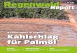 C 3661... Das Magazin von Rettet den Regenwald e. V. Nr. 2/ 20 C 3661 Kahlschlag für Palmöl Brasilien Wie Indigene ihren Wald schützen Gefährliche Nähe Vordringen des Menschen