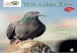 Ein Herz für Tauben – auch in Bochum · 2017. 12. 11. · • Unfallwagen-Ankauf Hausverwaltung für Eigentumsanlagen Miethäuser Immobilien Abrechnungsdienst für Heizkosten Verbrauchskosten