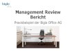 Management Review Bericht - SAQ · 2018. 9. 5. · 2018-08-28 / saq Sektion Bern / Management Review Bericht / Praxisbeispiel Kurzporträt Bigla Office AG Einleitung Was hat uns zum