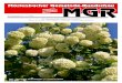 Mörlenbacher Gemeinde-Rundschau MGR · 2018. 9. 4. · Die MGR ist eine Zeitung für die Großgemeinde Mörlenbach. ... Andreas Baum aus Mörlenbach und für die 100. Spende bei
