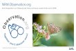 NRW.Observation · 2020. 4. 21. · 33 Observation.org NRW.Observation.org –ein Projekt für alle Interessierten AG Rheinisch-Westfälischer Lepidopterologen AG Säugetierkunde