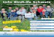 Info BirdLife Schweiz · BirdLife Schweiz Schweizer Vogelschutz SVS Wiedingstr. 78 Postfach CH-8036 Zürich svs@birdlife.ch  Tel. 044 457 70 20 Fax 044 457 70 30 PC 80-69351-6