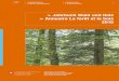 Jahrbuch Wald und Holz ‒ Annuaire La forêt et le bois 2015 · BBL, Vertrieb Bundespublikationen, CH-3003 Bern Tel. +41 (0)58 465 50 50 ... zusammen mit dem aktualisierten Flyer